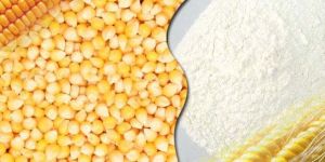 Maize Starch