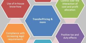 Transfer Pricing Services