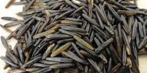 Wild Rice