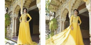 Party Wear Gown Dress