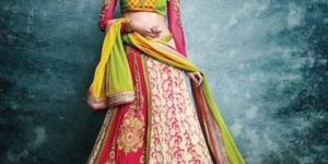 Wedding Embroidery Lehenga Choli