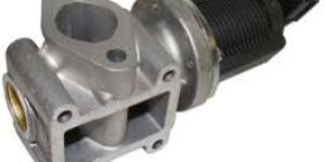 Egr Valves