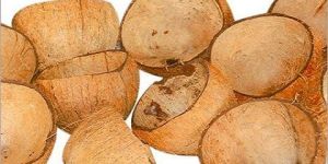 Desiccated Coconut Shell