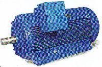 Three Phase Squirrel Cage Motors