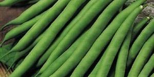Fresh French Beans