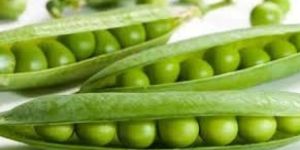 Green Peas