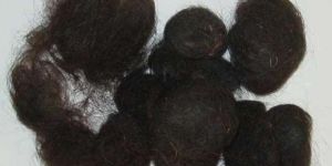 Comb Hair Balls