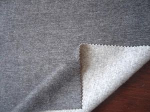 Single Jersey Fabric