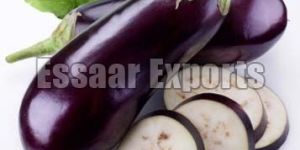 Fresh Brinjal