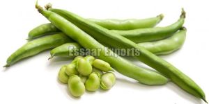 Fresh Green Beans
