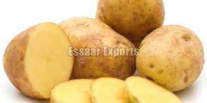 Fresh Potato