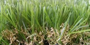 Artificial Grass