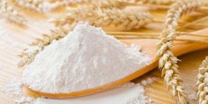 Refined Wheat Flour