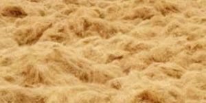 Coir Fibre