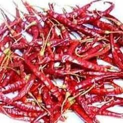 Dried Red Chilli