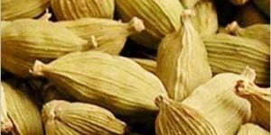 Organic Green Cardamom