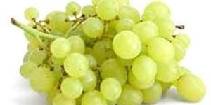 Oragic Grapes