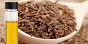 Cumin Oil