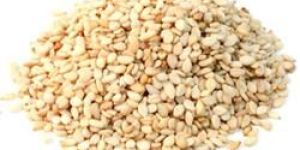 Sesame Seeds