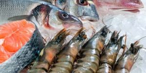 Frozen Seafood