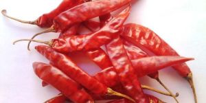 Dried Red Chilli
