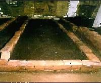 Organic Bio Fertilizer