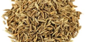 Cumin Seed