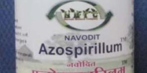 Navodit Azospirillum