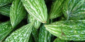 Fresh Bitter Gourd