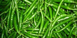 Fresh Green Chilli