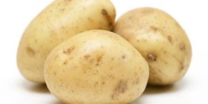 Fresh Potato