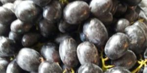 Fresh Black Grapes