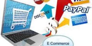 Ecommerce Development