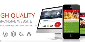 Website Development Service