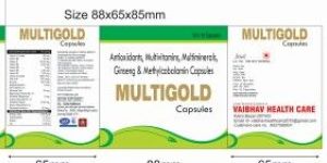 Multi Vitamin Milti Mineral Antioxident with Ginseng Capsule
