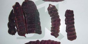 ACACIA CONCINNA EXTRACT (Shikkai Extract)