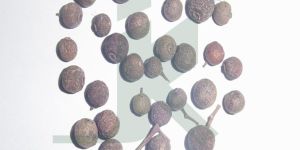 ALLSPICE BERRIES