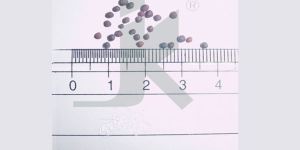 BRASSICA JUNCEA (Brown Mustard)