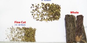 GLYCYRRHIZA GLABRA (Licorice Root)