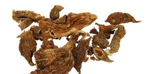 MOMORDICA CHARANTIA (Bitter Gourd Fruit)