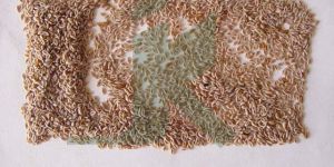 PLANTAGO OVATA (Psyllium Seeds)