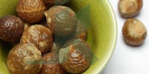 SAPINDUS MUKOROSSI (Soap Nut)