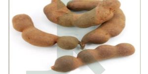 Tamarind Fruit