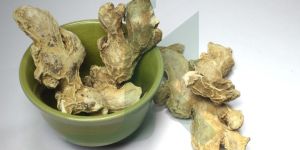 ZINGIBER OFFICINALE (Ginger Root)