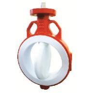 Lined Butterfly Valve