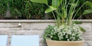 Fox B Plastic Planter