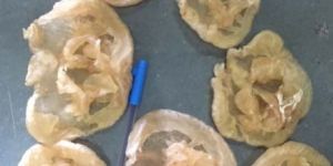 Dried Cat Fish Maws Open Petara