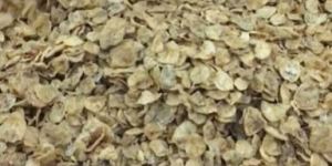 Dried Cat Fish Maws Singala