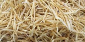 Dried Fish Maw Air Vam