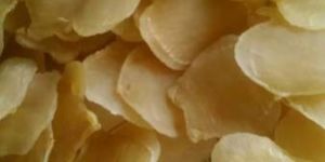 Dried Fish Maws Ghol Female